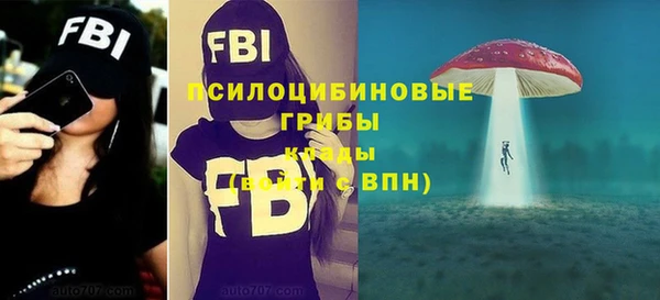 MESCALINE Богданович