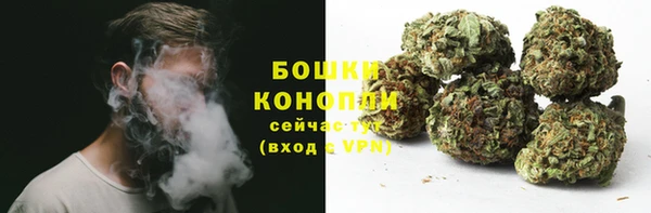 амф Богородск