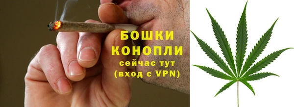 амф Богородск