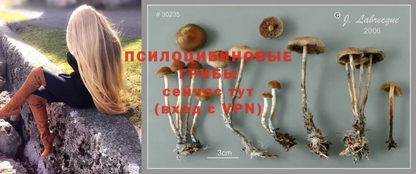 MESCALINE Богданович